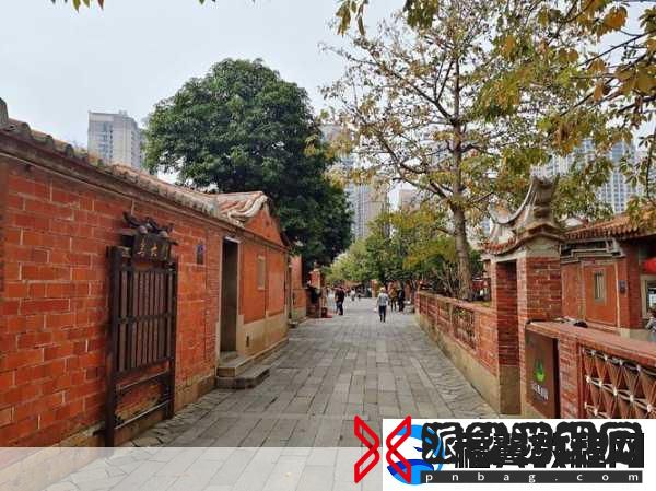 老孙头的春天在晋江的更新时间：1.-春天的脚步在晋江悄然来临