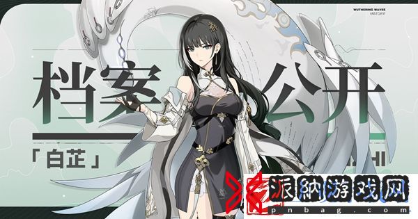 《鸣潮》白芷高清立绘及技能介绍一览2024