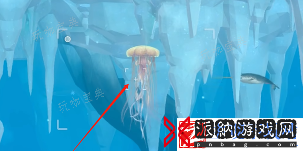 《潜水员戴夫》狮鬃水母怎么解锁？