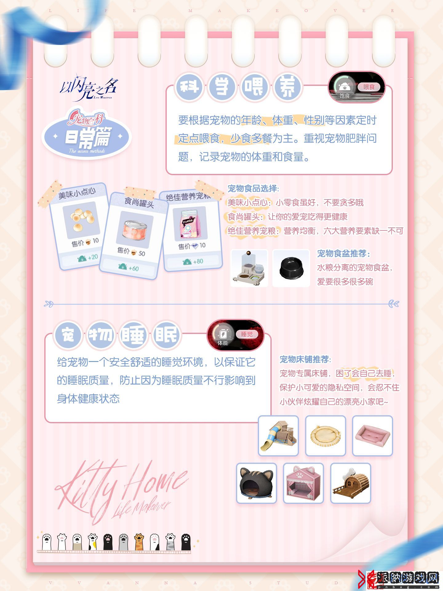 以闪亮之名宠物系统怎么玩