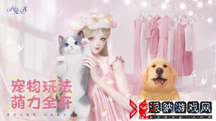 以闪亮之名宠物系统怎么玩