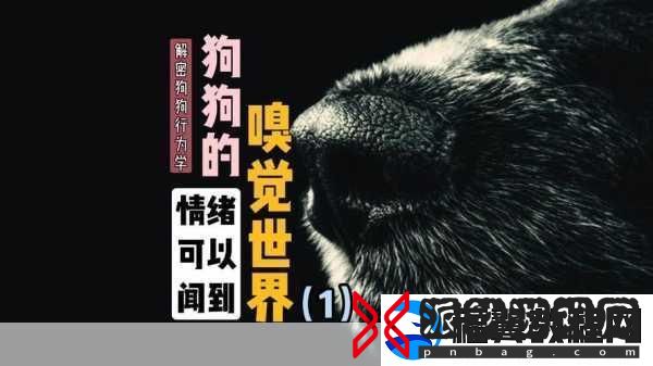 狗狗的东西又硬又烫又臭