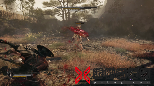 白蟒赤练处决2.png