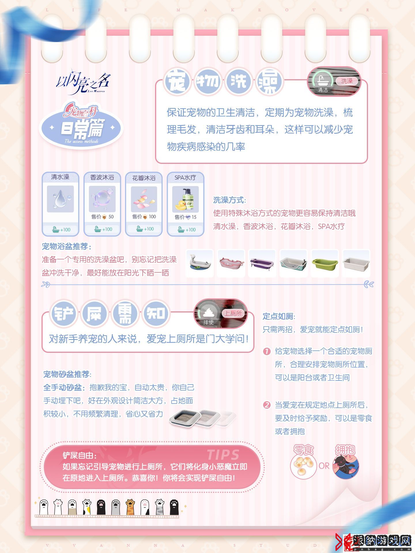 以闪亮之名宠物系统怎么玩
