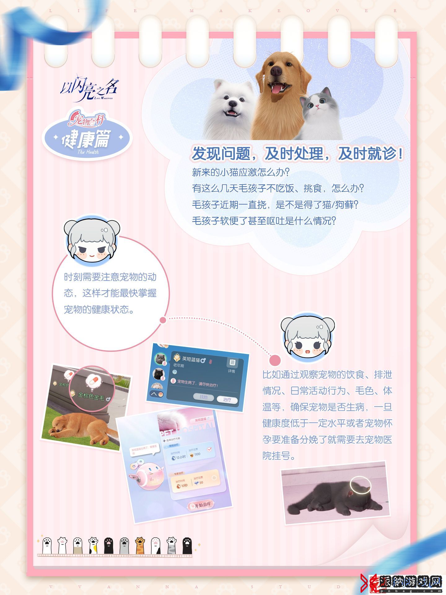 以闪亮之名宠物系统怎么玩