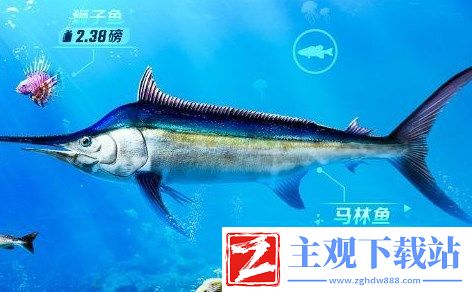 欢乐钓鱼大师鱼骨头怎么刷