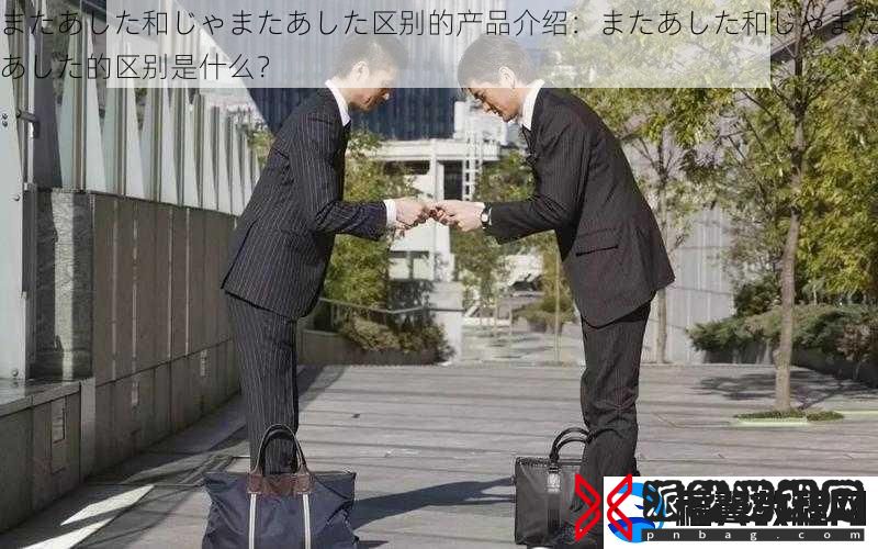 またあした和じゃまたあした区别的产品介绍