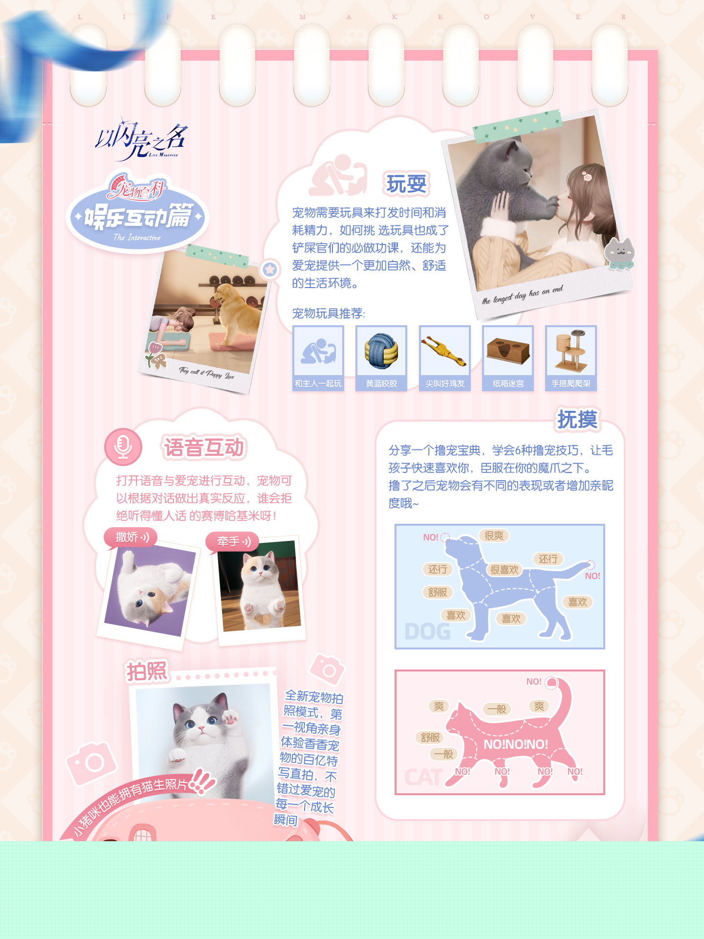以闪亮之名宠物系统怎么玩