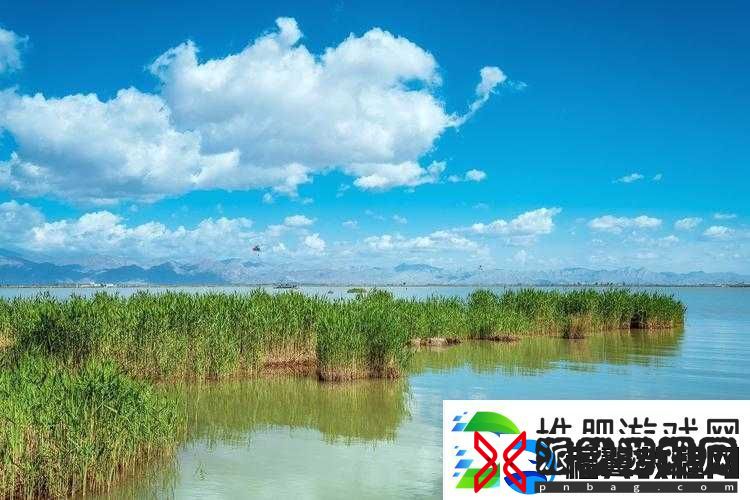 怡红院导航