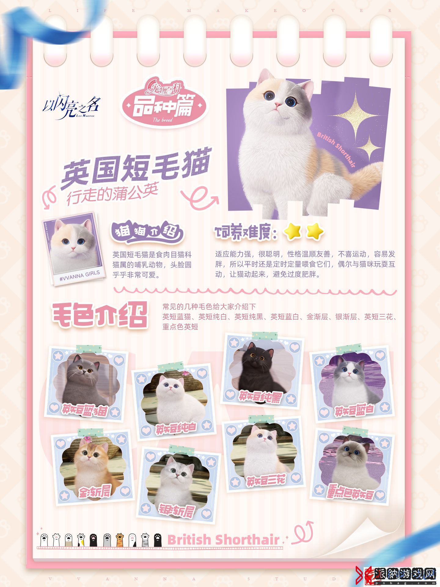 以闪亮之名宠物系统怎么玩