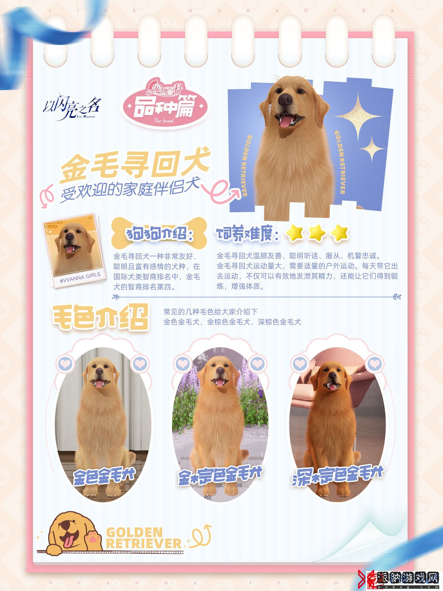 以闪亮之名宠物系统怎么玩