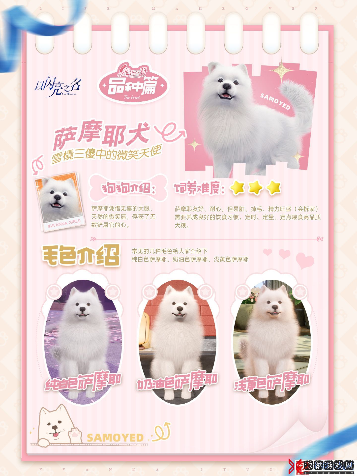 以闪亮之名宠物系统怎么玩