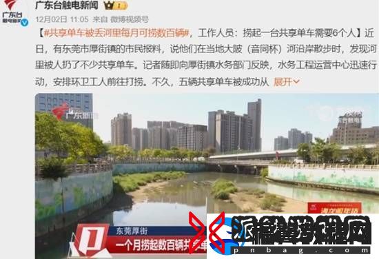共享单车被丢河里每月可捞数百辆