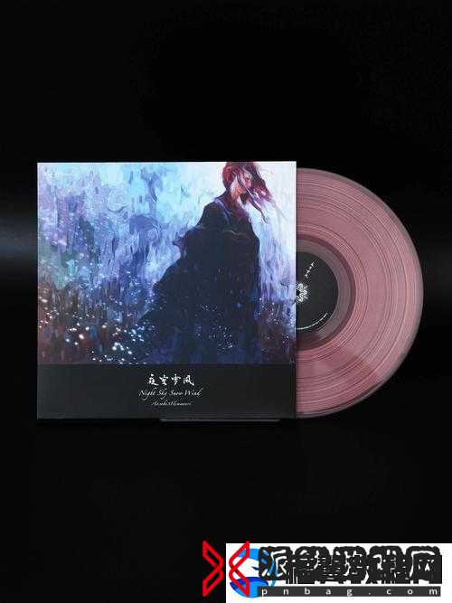 中国JAZZYHIPHOP：引领潮流的独特音乐风格