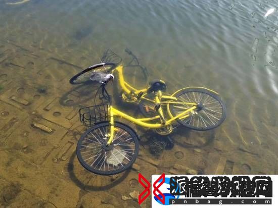 共享单车被丢河里每月可捞数百辆
