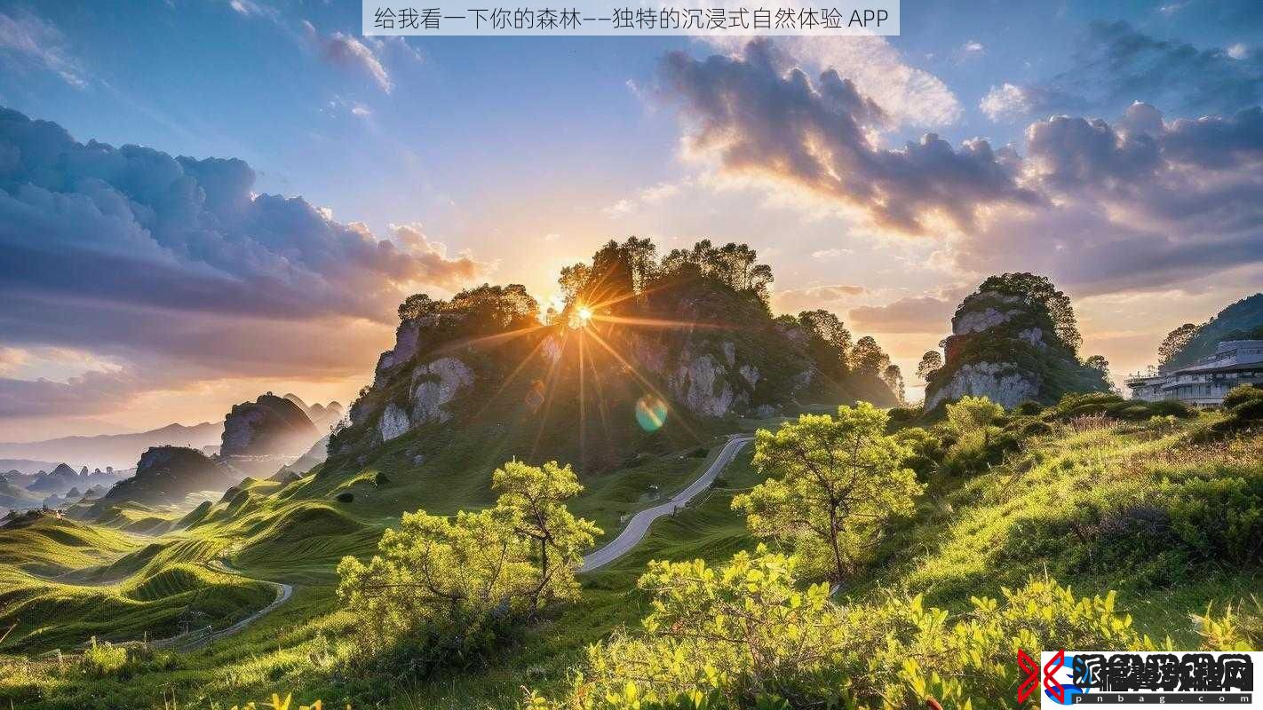 给我看一下你的森林——独特的沉浸式自然体验-APP