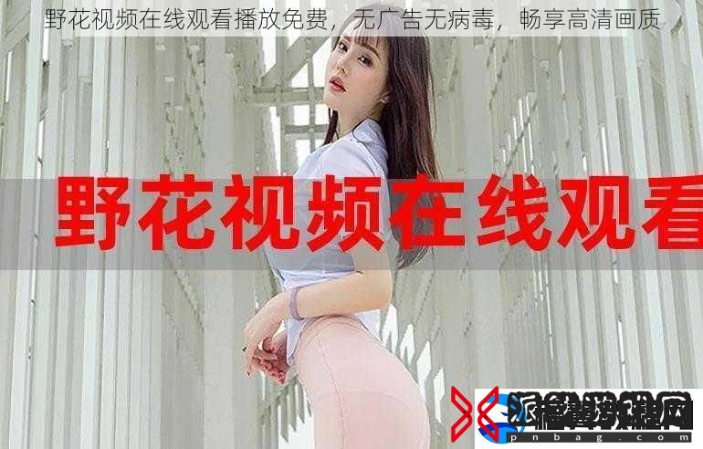 野花视频在线观看播放免费