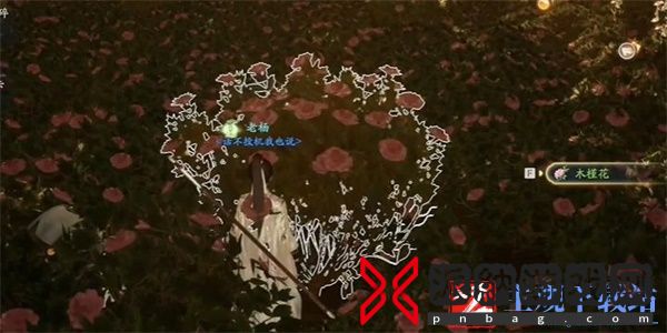 射雕手游木槿花收集方法