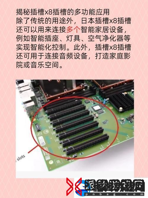 X8插槽