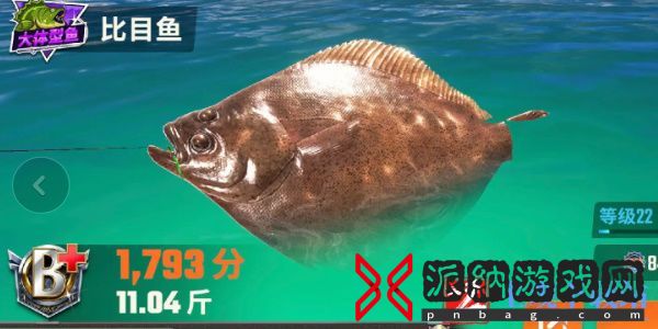 欢乐钓鱼大师鱼类图鉴大全