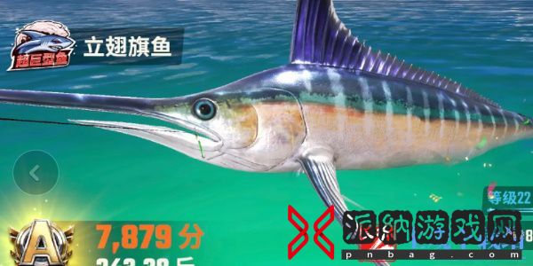 欢乐钓鱼大师鱼类图鉴大全