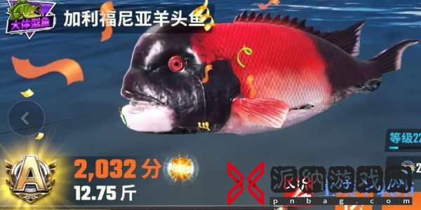 欢乐钓鱼大师鱼类图鉴大全