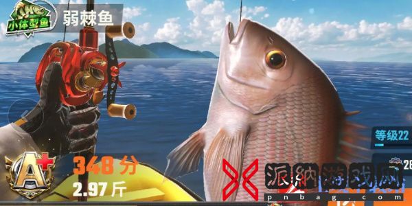 欢乐钓鱼大师鱼类图鉴大全