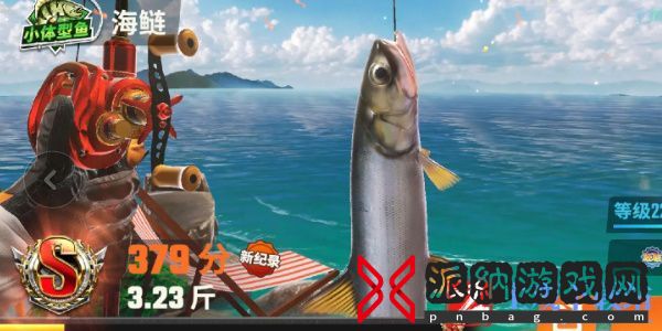 欢乐钓鱼大师鱼类图鉴大全