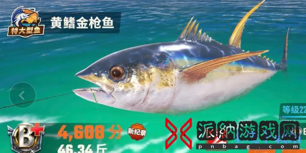 欢乐钓鱼大师鱼类图鉴大全