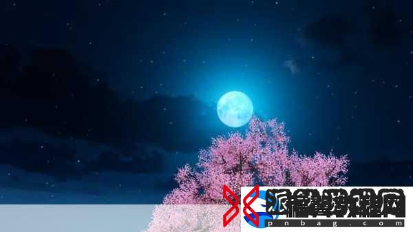 天谕手游灵珠之谜任务-全面解析与攻略