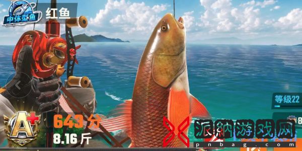 欢乐钓鱼大师鱼类图鉴大全