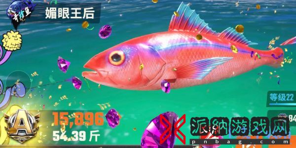欢乐钓鱼大师鱼类图鉴大全