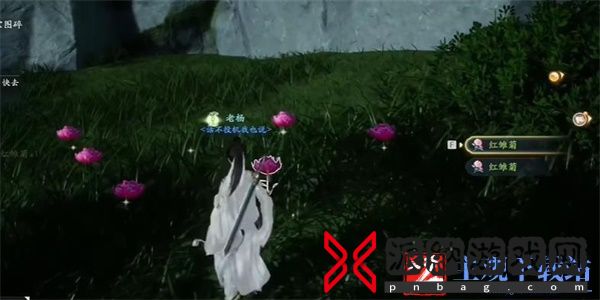 射雕手游蝴蝶雏菊收集方法