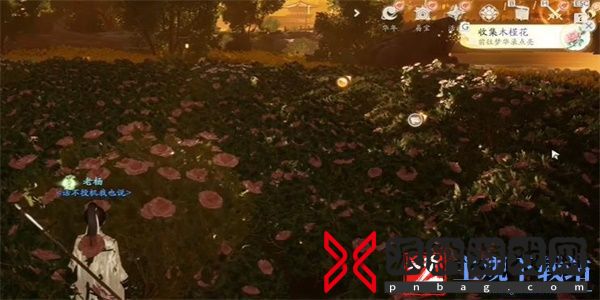射雕手游木槿花收集方法