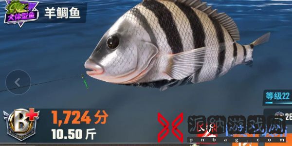 欢乐钓鱼大师鱼类图鉴大全