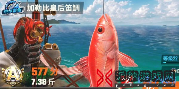 欢乐钓鱼大师鱼类图鉴大全