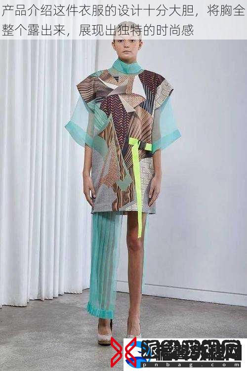 产品介绍这件衣服的设计十分大胆