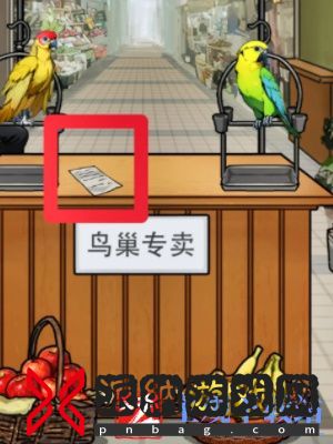 隐秘的档案鹦鹉怪谈通关攻略