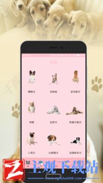 人猫狗交流器免费版