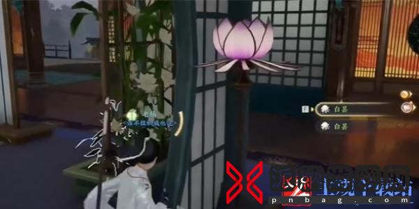 射雕手游白昙夜幽怎么收集