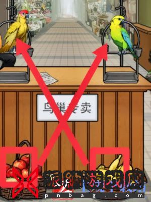 隐秘的档案鹦鹉怪谈通关攻略