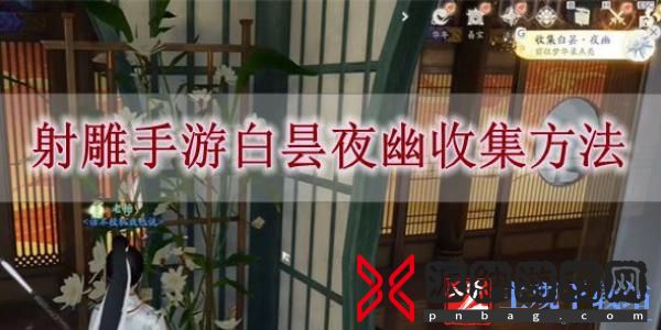 射雕手游白昙夜幽怎么收集