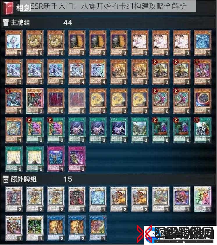 SSR新手入门