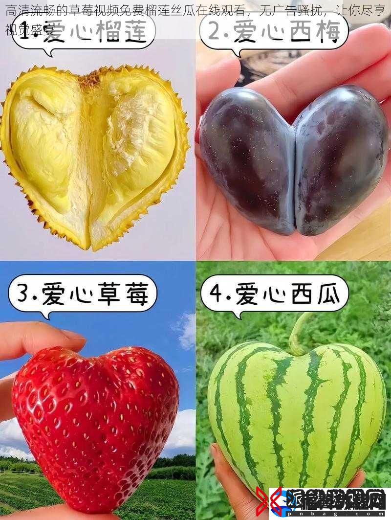 高清流畅的草莓视频免费榴莲丝瓜在线观看