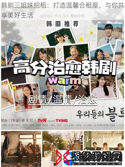 韩剧三姐妹招租