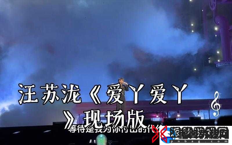 嘿-那一份对爱丫爱丫的独特深情与执着