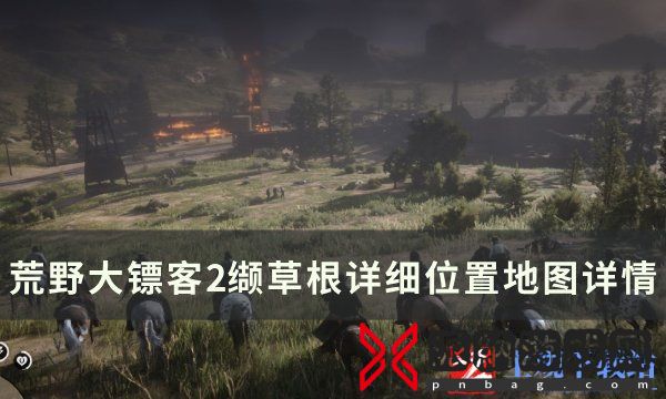 《荒野大镖客2》缬草根怎么获得缬草根详细位置地图详情