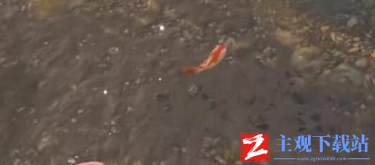永劫无间锦鲤位置在哪-永劫无间锦鲤位置一览