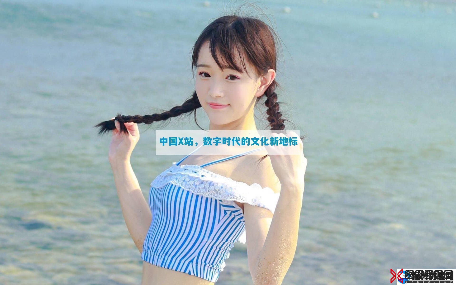 中国X站数字时代的文化新地标