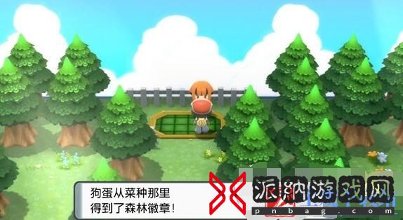 宝可梦晶灿钻石明亮珍珠自行车获得方法
